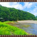 탄지축산 티스토리