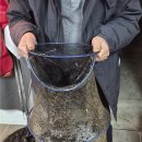 생극낚시터 이미지