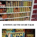한국인은 잘 모르는 스팸 종류 이미지