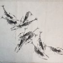 ★★ 金基萬(김기만 1929.5.9.~2004.12.26) 群蝦圖 H33 W43 紙本水墨 이미지