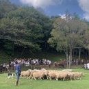 종인목장 이미지