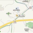 황소고집 Daum카페