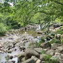 우금자락 이미지