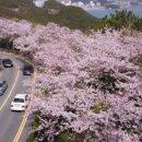 2호선 중동역 1번출구 이미지