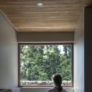 단심스테이 이미지