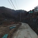 함양흑염소 이미지