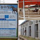 천수만해상낚시공원 이미지