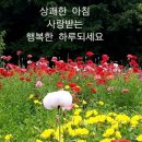 유앤유 Daum카페