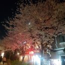 동틀네일
