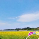 경포저류지 이미지