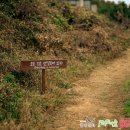 명상 | [공지] 2025 즐겁고 재미있는 명상 캠프 _ 후기