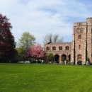 더힐(The hill) 이미지