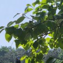 하늘오두막 이미지