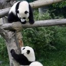 금호동 장미연립아파트 이미지