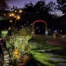 타임스테이 이미지