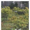 공무원 시험 신점 잘보는곳에서 합격운 시험운 관운 상담 후기 이미지