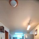 진해여자중학교 이미지