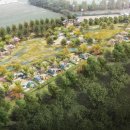 가족캠핑장 이미지