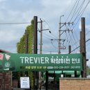 트레비어 이미지