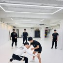 체인 그래플링 이미지