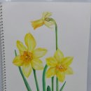 춘의동주민센터 이미지