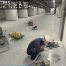 굿잡인력사무소 - 중구 남산로 55 | 굿잡인력사무소