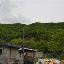 구산면611 이미지