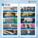 가금신발