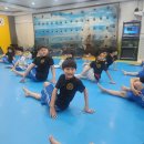 구룡태권도체육관 네이버블로그