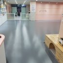 댕댕이의 하루 이미지