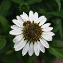 매안1길 이미지