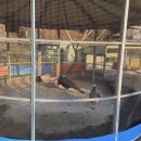 한국영상대학교부설유치원 이미지
