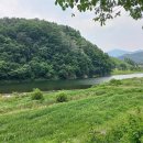 효석문학100리길 제4구간 이미지