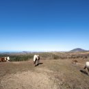 관문공판장 이미지