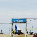 송전매점 | 서핑 초보도 가능한 양양 송전해수욕장🏄 넘버원서프 강습 리얼후기 + 준비물 총정리