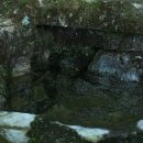 자라마을 이미지