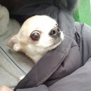 우솔동물병원 이미지