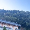 스테이고운 이미지