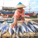 ​발리의 ‘쓰레기 시즌’이란? 이미지