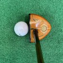 카매니아클럽 | 일본 후쿠오카 파크골프, 시오이가와에서 클럽 하나로 즐기는 무제한 라운딩