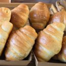 유정1955 이미지