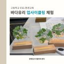 수원칠보고등학교 | 고등학교 ESG 환경교육｜광명업사이클아트센터 바다유리 업사이클링 무드등 만들기 후기
