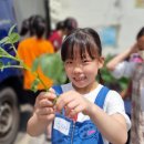 은행나무어린이도서관 이미지