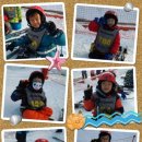 용인대석사체육관 이미지