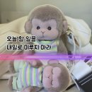 동해 묵호역. 주변 이미지