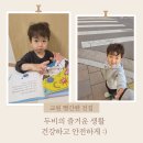 불로오락실 | 4세 남아 전집 두비의 즐거운 생활 안전하고 건강하게