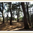 설화공원 이미지