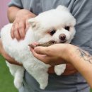 개스토랑 이미지