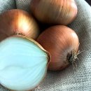 중대농장 이미지