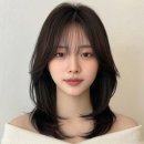 디엠헤어 네이버블로그